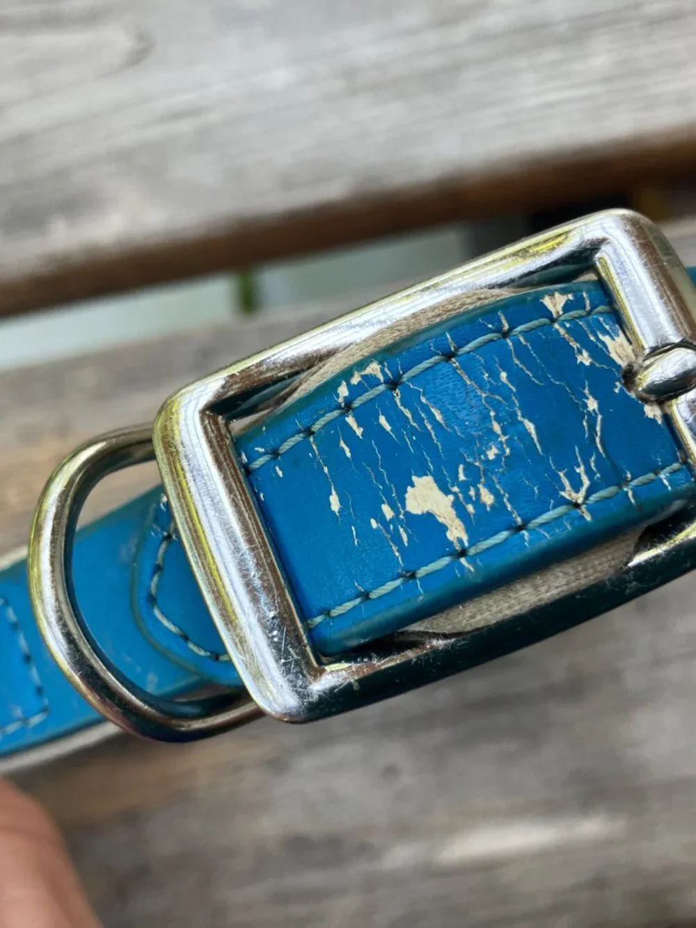 🐶💙 Blue Leather Studded Dog Collar | Silver Bone Studs | Thick Padded Collar |